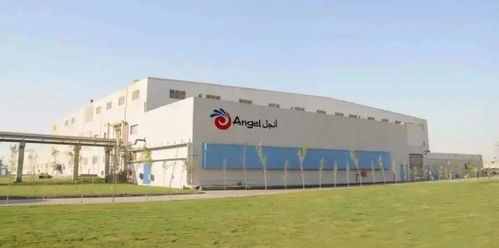 幸存者 安琪酵母 一個隱形冠軍的經(jīng)營智慧