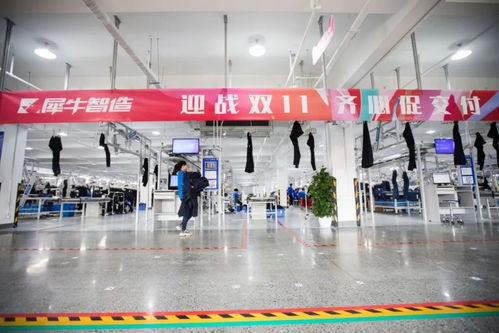 雙11新制造實驗 這些商家,最懂得如何抓住兩波爆發機會