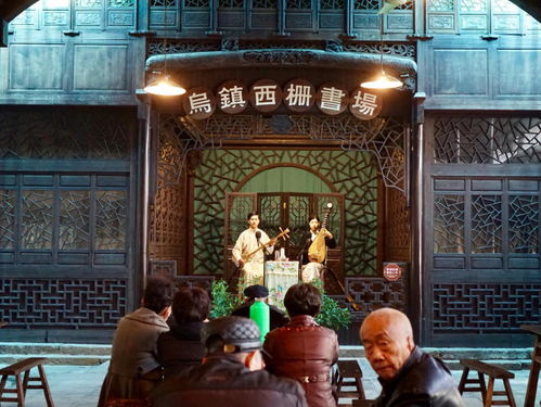 烏鎮(zhèn),其實是成年人的古鎮(zhèn)版迪斯尼