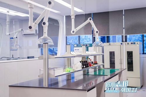 志邦家居 志 慧賦能 共探定制家居新未來